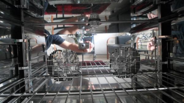 Annonce Four &agrave; convection professionnel &agrave; humidificateur