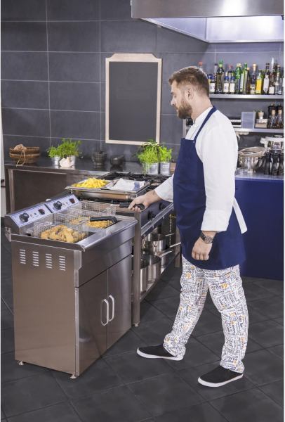 Vente Friteuse &eacute;lectrique sur armoire - neuve et livr&eacute;e