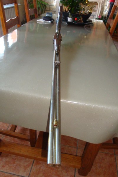 Annonce Fusil poudre noire 19 e