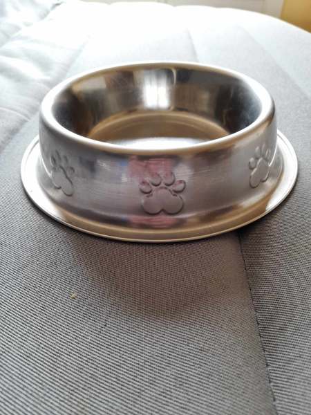 Gamelle en inox pour animaux