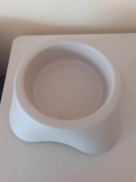 Gamelle pour chien en plastique beige