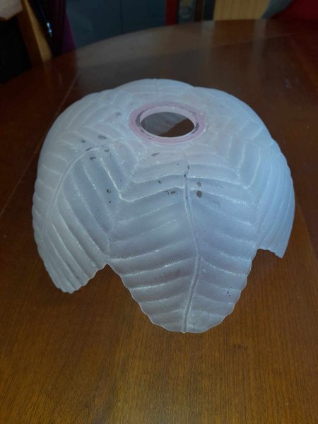 Globe tulipe en verre moul&eacute;