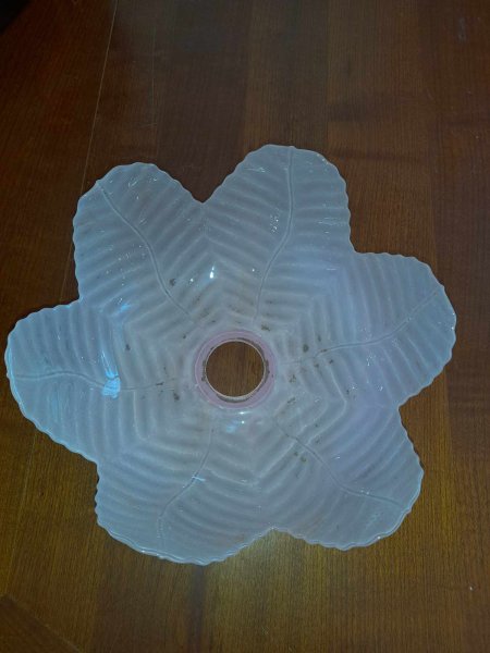 Globe tulipe en verre moul&eacute; pas cher