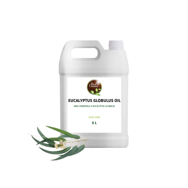 Huile essentielle d'eucalyptus globulus