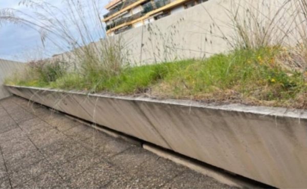 Jardini&egrave;res en b&eacute;ton