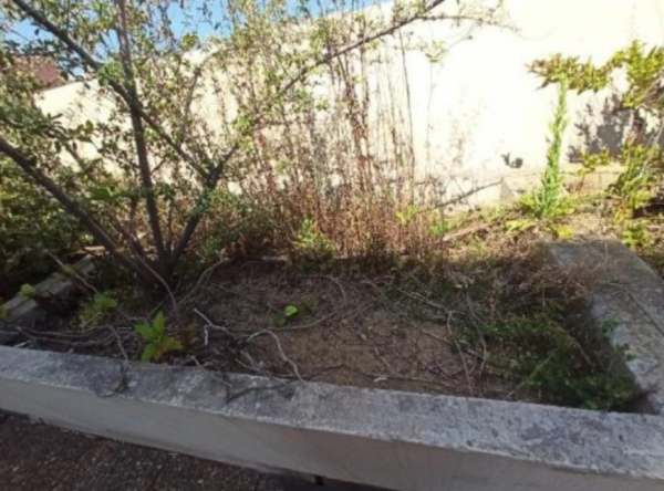 Jardini&egrave;res en b&eacute;ton pas cher