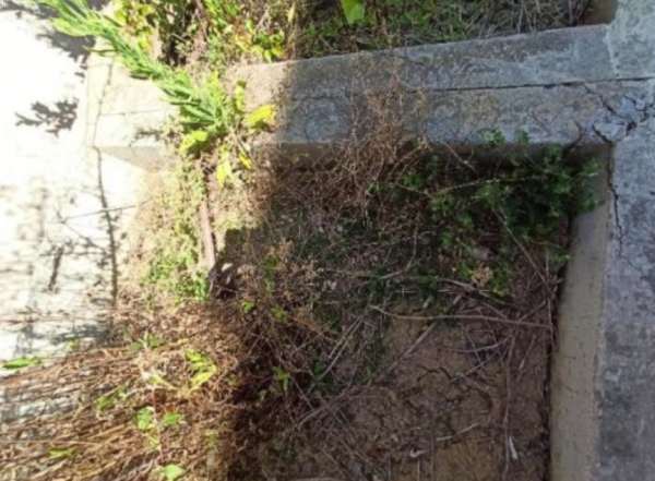 Annonce Jardini&egrave;res en b&eacute;ton