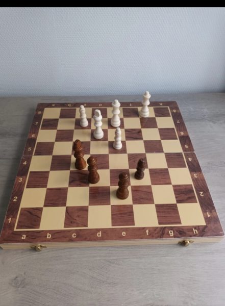 Jeux d'échecs en bois magnétique et pliable neuf