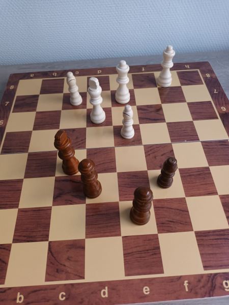 Annonce Jeux d'échecs en bois magnétique et pliable neuf