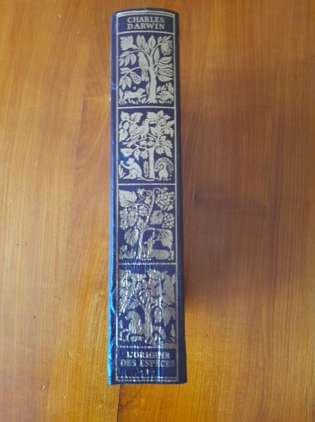 Vente L'origine des esp&egrave;ces n&deg; 1