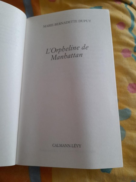 Vente L' orpheline de manhattan - marie bernadette dupuy