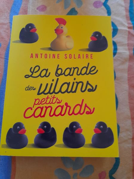 La bande des vilains petits canards - antoine sola