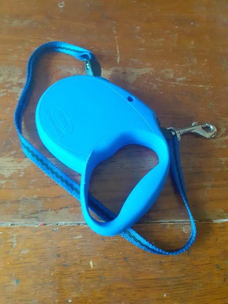 Laisse extensible standard