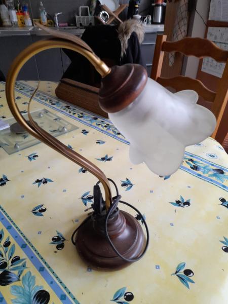 Lampe de table col de cygne - globe tulipe