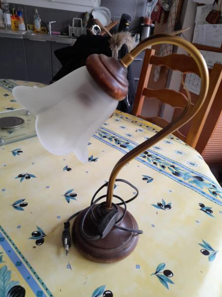 Lampe de table col de cygne - globe tulipe pas cher