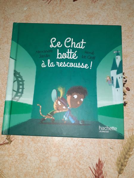 Le chat bott&eacute; &agrave; la rescousse