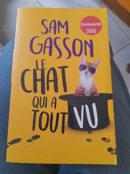 Le chat qui a tout vu - sam gasson