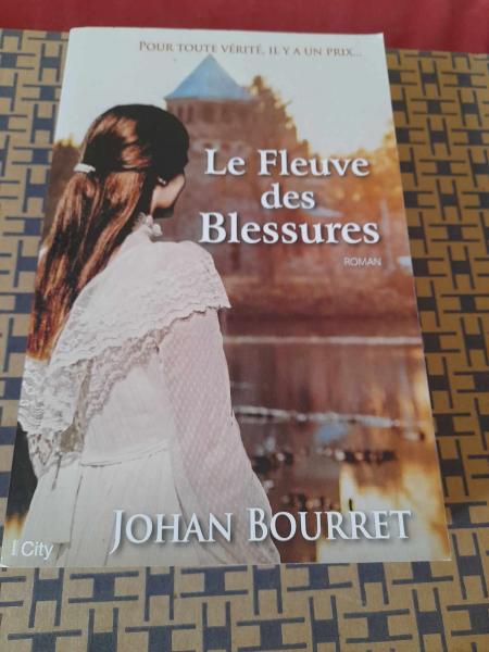 Le fleuve des blessures - johan bourret