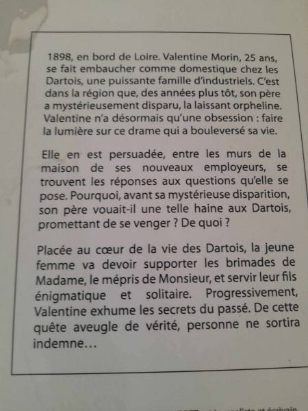 Le fleuve des blessures - johan bourret pas cher