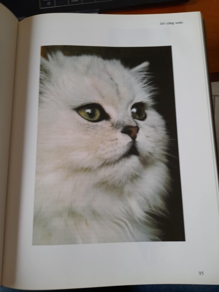 Vente Le livre des chats