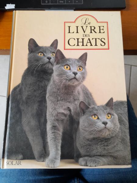 Le livre des chats