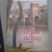 Le saut du loup - christian laborie