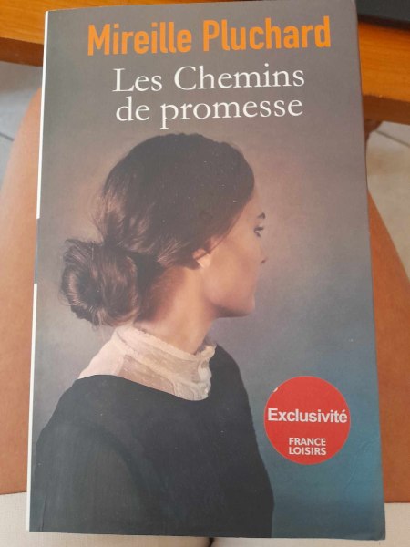 Les chemins de promesse - mireille pluchard