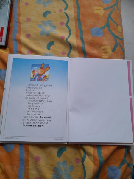 Vente Les lapinous d&eacute;couvrent la mer