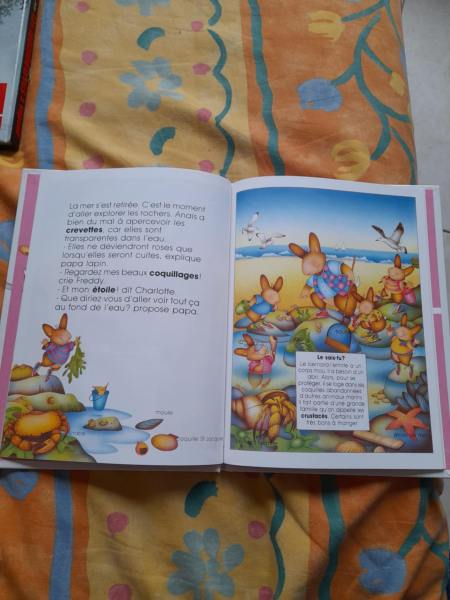 Les lapinous d&eacute;couvrent la mer pas cher