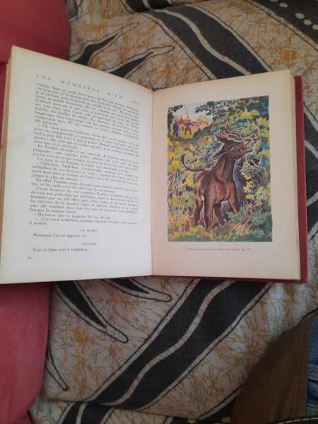 Vente Les m&eacute;moires d'un ane - comtesse de segur