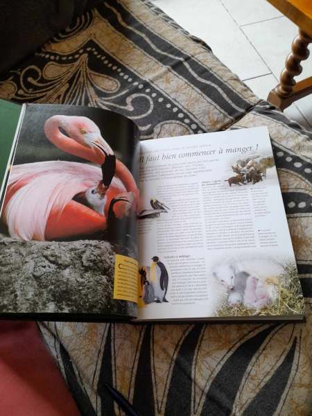 Les prodigieux secrets de la nature pas cher