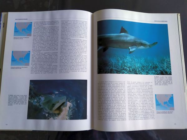 Annonce Les requins - john d.stevens - éditions bordas