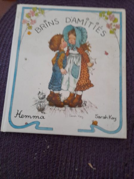 Livre   brins d'amitiés - sarah key