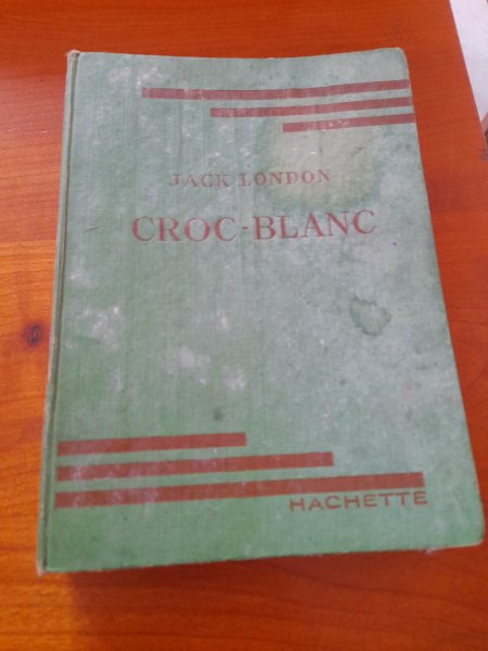 Livre croc blanc - jack london