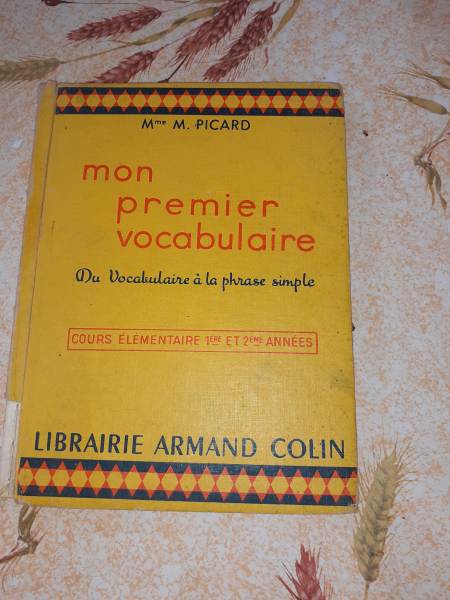 Livre de cours " mon premier vocabulaire"
