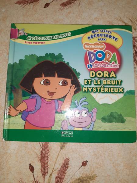 Livre dora  et le bruit myst&eacute;rieux