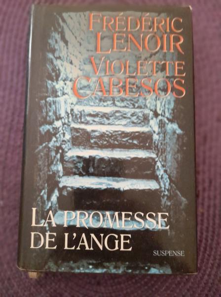 Livre la promesse de l'ange frédéric lenoir