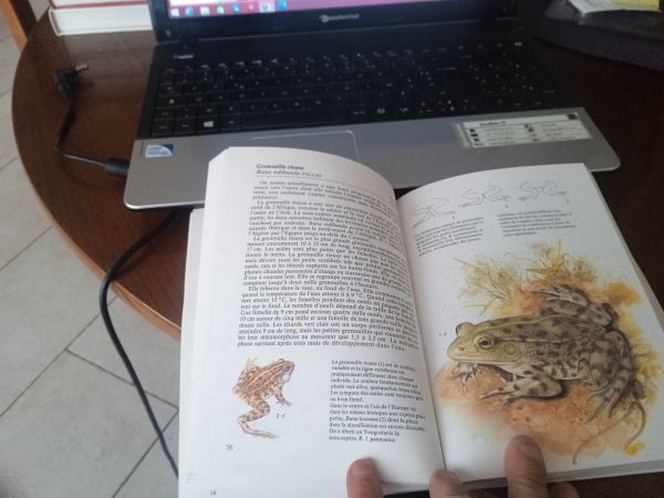 Vente Livre " reptiles et amphibiens "