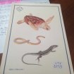 Annonce Livre " reptiles et amphibiens "