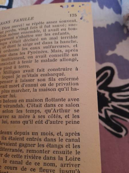 Vente Livre sans famille tome 1 - hector malot