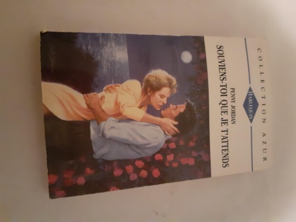 Livre "souviens toi que je t'attends"