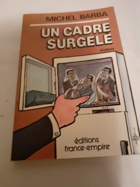 Livre "un cadre surgel&eacute;"