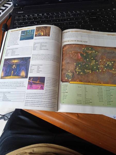 Vente Livre " world of warcraft  "