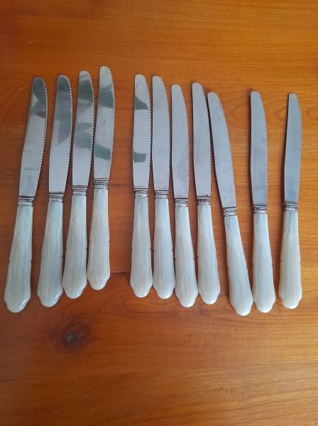 Vente Lot 10 couteaux inox + 1 gratuit