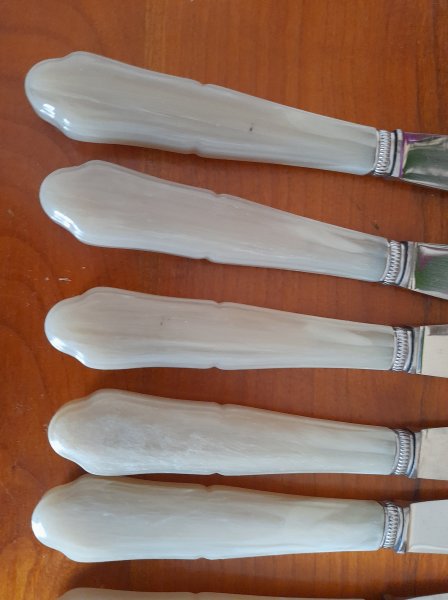 Lot 10 couteaux inox + 1 gratuit pas cher