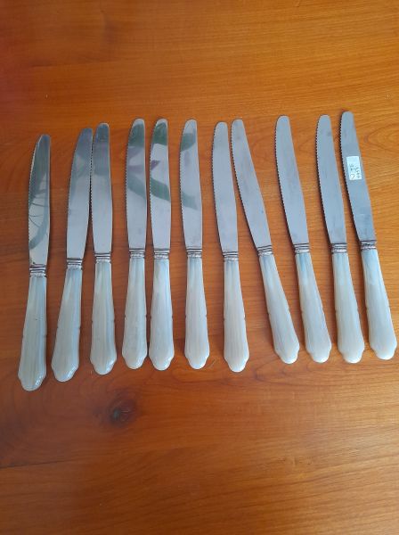 Lot 10 couteaux inox + 1 gratuit