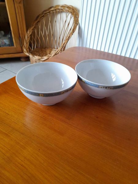 Lot 2 bols en pocelaines bhv pas cher
