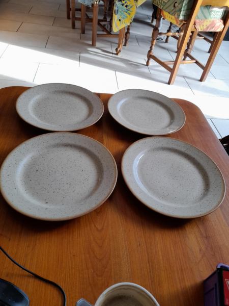 Annonce Lot 4 assiettes plates à repas en grès tulowice