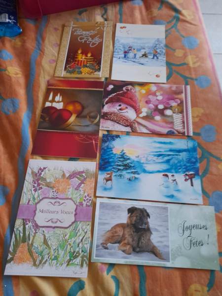 Lot 7 cartes postales sp&eacute;ciales fetes