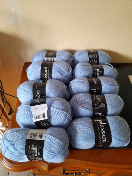 Lot de 10 pelotes gagnante plassard  bleu 902